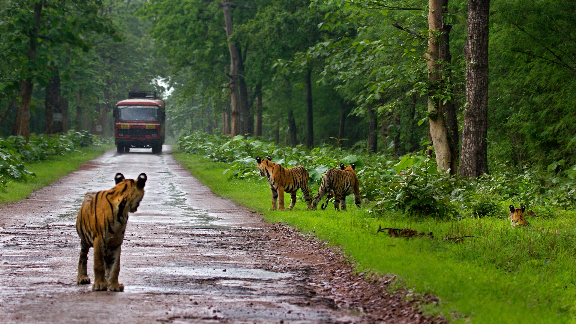 Tadoba Tiger Reserve Map